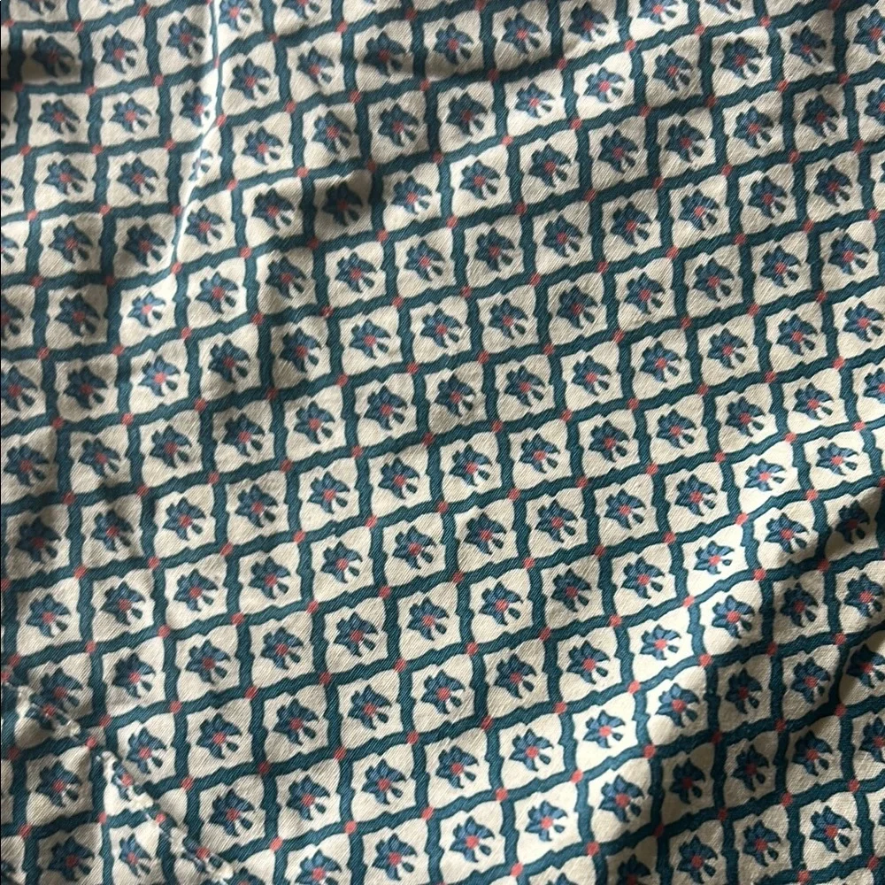Pottery Barn euro sham x 2